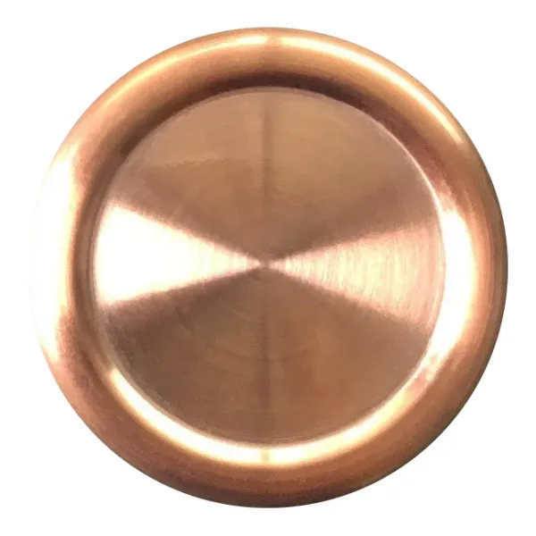 OneBottle spare lid