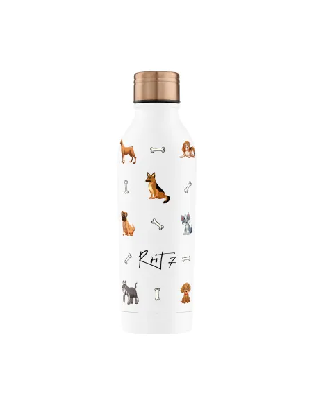 Root7 Safari Thermal Bottle for Kids with Sports Cap