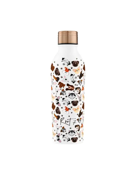 Root7 Safari Thermal Bottle for Kids with Sports Cap