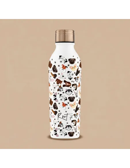 Root7 Safari Thermal Bottle for Kids with Sports Cap