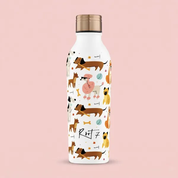 Root7 Safari Thermal Bottle for Kids with Sports Cap