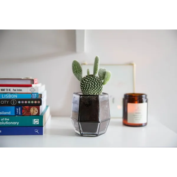 Geo Black Tumbler Glasses - Set of 2