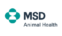 Logo-MSD-klient-Lazystore